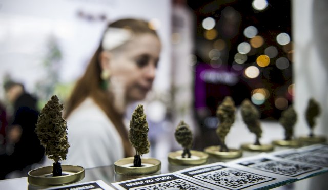 Inició la 4ta edición de la Expo Cannabis en La Rural