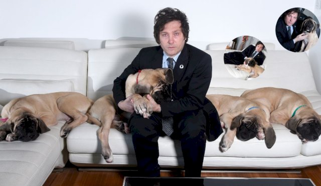 milei y sus perros