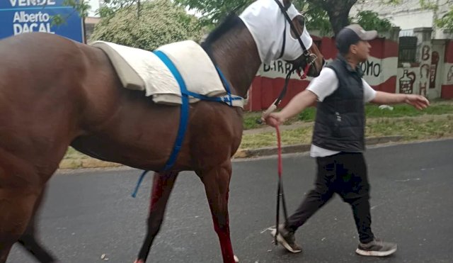Caballo