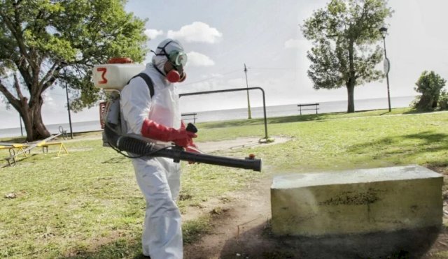 Dengue