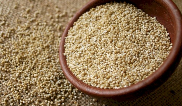 Quinoa