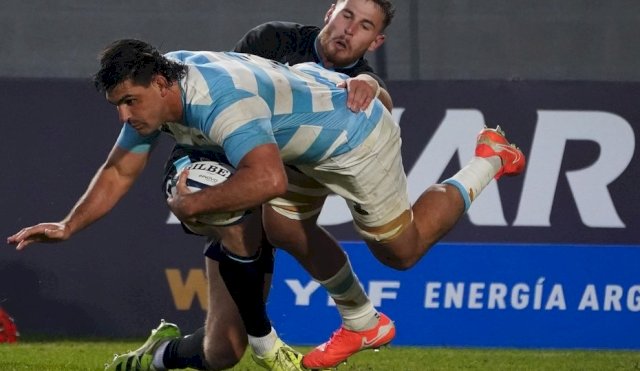 LOS PUMAS 